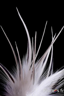 Héron - 13-16 cm - blanc-crème-gris naturel